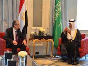 وزير الكهرباء ونظيره السعودي يبحثان أوجه التعاون في مجالات الطاقة المتجددة