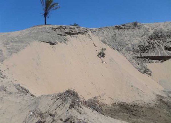 شراكة مصرية صينية لاستخراج المعادن من الرمال السوداء بـ500 مليون جنيه