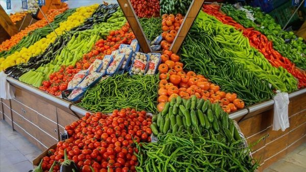 شعبة الخضروات والفاكهة: الأسعار في متناول الجميع.. والبصل والثوم بـ 15 جنيهًا ‏