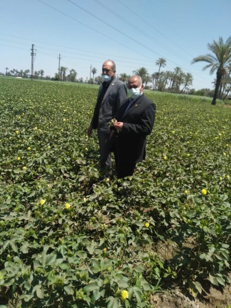 الزراعة تكثف الزيارات الميدانية على محطات التقاوي في محافظة الفيوم 
