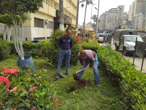 زراعة 116541 شجرة بالإسكندرية منذ بداية تنفيذ مبادرة المليون