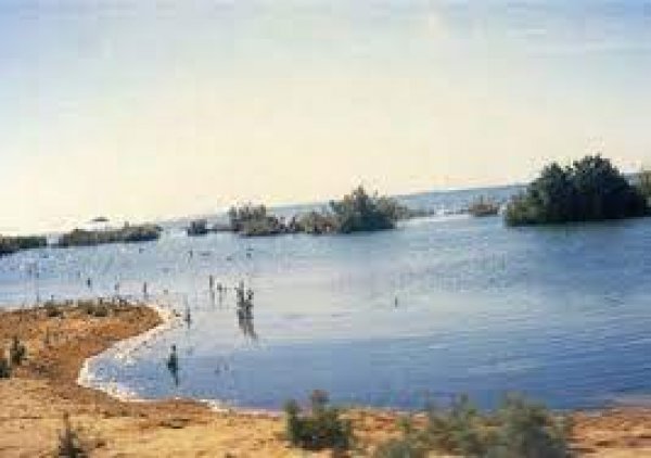 بدء إجراءات غلق بحيرة ناصر بأسوان أمام أنشطة الصيد لمدة شهرين أسوان  