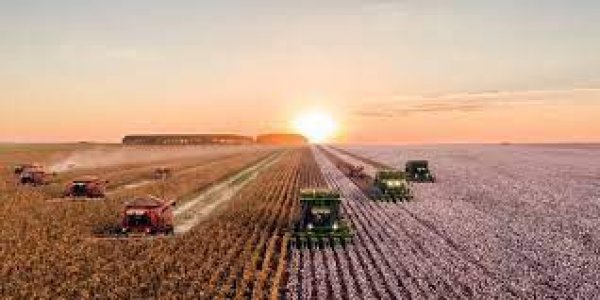“الزراعة”: تطبيق الزراعات التعاقدية على المحاصيل الاستراتيجية لتجنب تقلبات الأسعار 