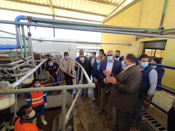 وزير الزراعة يتفقد مزرعة الإنتاج الحيواني بغرب المنيا ..صور