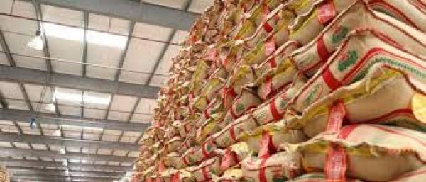 مصر تستورد 75 ألف طن أرز خلال 9 شهور