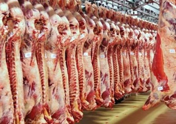  الزراعة: سعر كيلو اللحم البلدي 145 جنيها في منافذنا