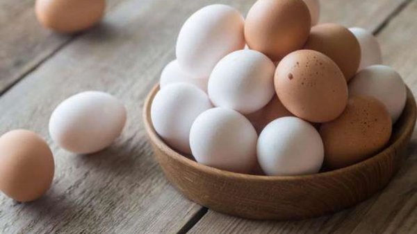 47% ارتفاعا في أسعار البيض.. والطبق يسجل 115 جنيها في المزرعة