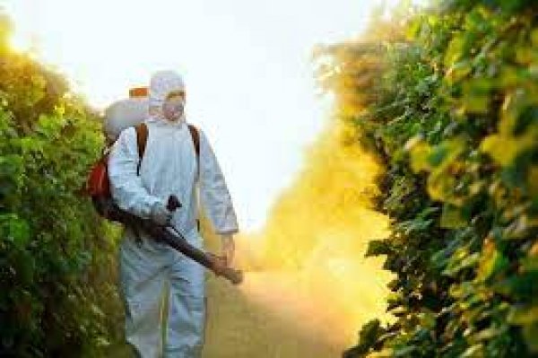  رئيس المبيدات الزراعية :إستهلاك مصر من المبيدات  10 آلاف طن  بـ  2 مليار جنيهاً 