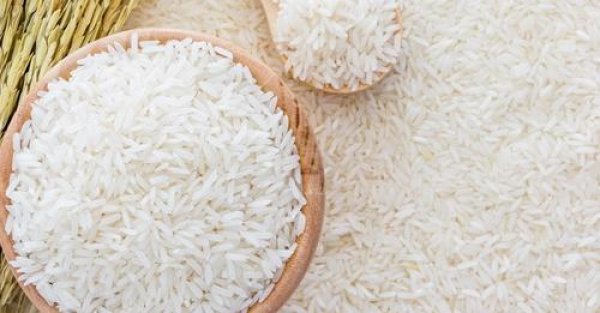 غرفة الحبوب: انخفاض كيلو العدس إلى 40 جنيها.. والأرز الممتاز ضمن المبادرة