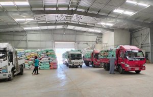 الزراعي المصري يبدأ استلام محصول القمح من المزارعين والموردين في 190 موقع على مستوى الجمهورية