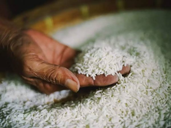  رئيس شعبة الأرز: مفيش زيادة هتحصل في الأسعار