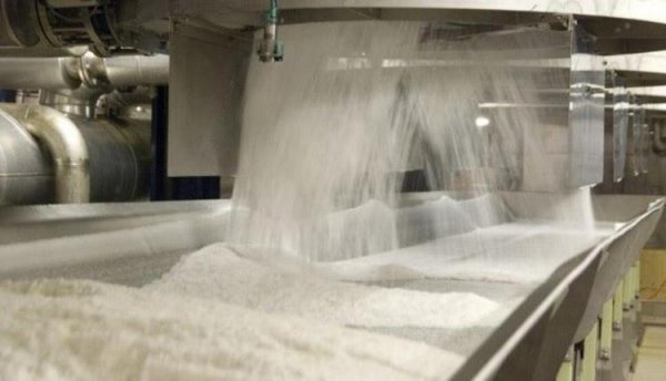 رئيس الصناعات التكاملية: صناعة السكر والورق ستعمل على تعويض خسائرها الماضية فى 2023