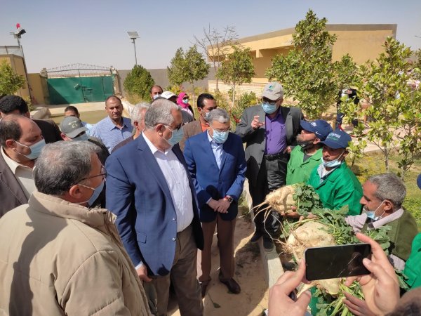 الزراعة: مشروع غرب المنيا يستهدف زيادة مساحة الرقعة الزراعية وتحقيق الامن الغذائي