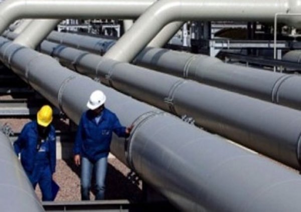الشركات تطالب بربط سعر الغاز الطبيعي للمصانع بالأسعار العالمية 