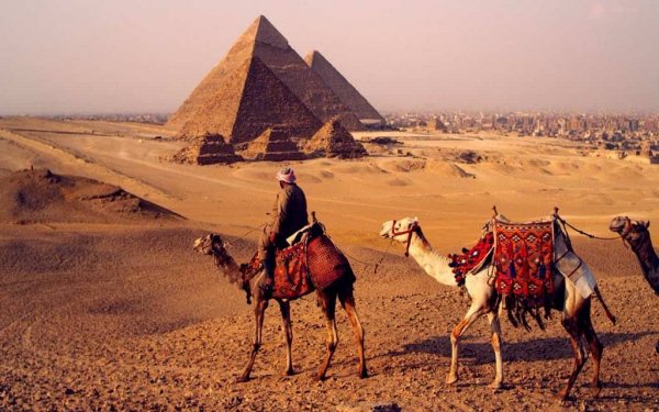 مصر تبحث مع شركة عالمية الترويج للأماكن السياحية