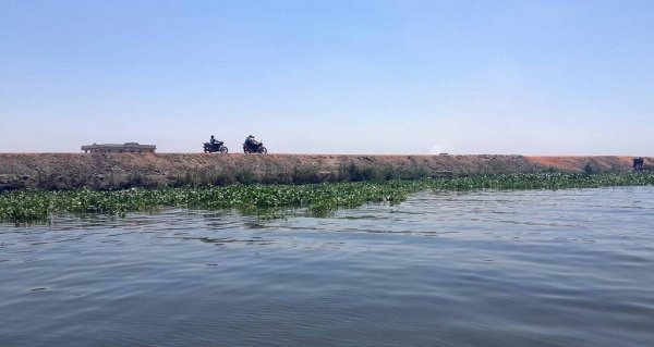 مصر تنفي وجود نية لبيع بحيرة المنزلة لدولة عربية