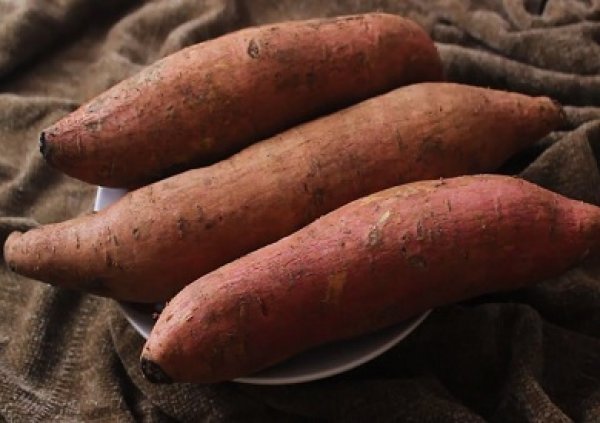 صادرات البطاطا المصرية إلى الدول الإسكندنافية ترتفع 51 ضعفا فى 6 سنوات