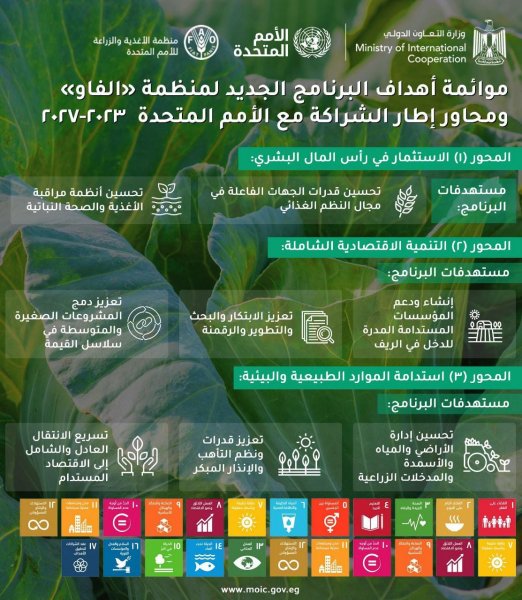 كل ما تريد معرفته عن التعاون بين جمهورية مصر العربية ومنظمة الأغذية والزراعة للأمم المتحدة «الفاو» 