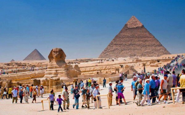 قطاع الأعمال: استشاري عالمي لإعادة هيكلة شركة مصر للسياحة