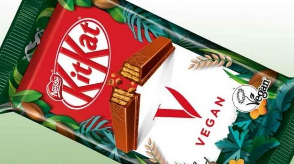 نستله السويسرية تطلق نسخة نباتية من الشيكولاتة كيت كات