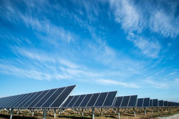 مرفق الكهرباء: إعفاء المحطات الشمسية من مقابل الدمج حتى 10 ميجاوات