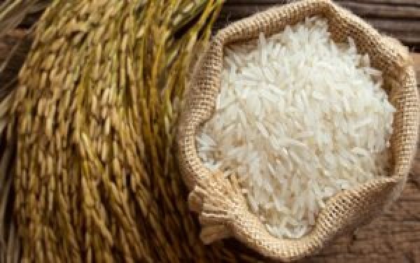 “التموين” تستورد 250 ألف طن أرز لتعزيز الاحتياطي الاستراتيجي