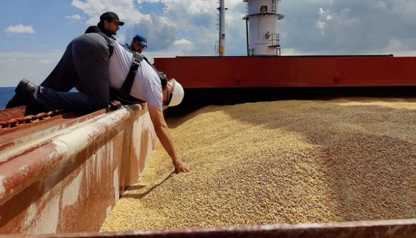تمديد اتفاق تصدير الحبوب الأوكرانية من البحر الأسود 120 يوما