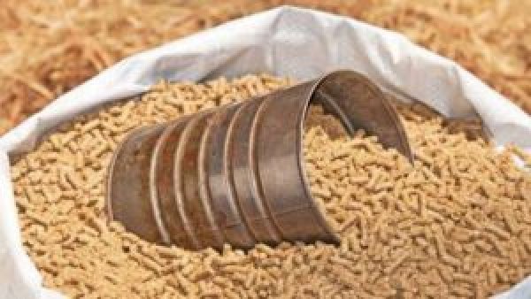 تنزانيا تفرض حظرا على استيراد فول الصويا وبذور الذرة من مالاوي